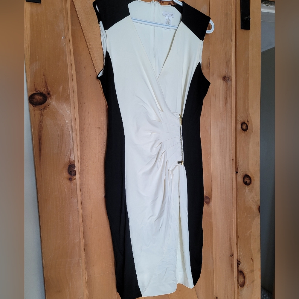Cache Monochrome Ruched Midi Dress - Picture 4 of 4